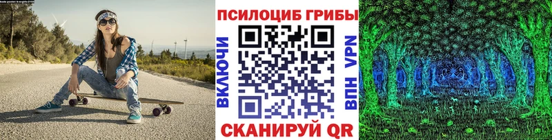 Псилоцибиновые грибы мицелий  Приволжский 